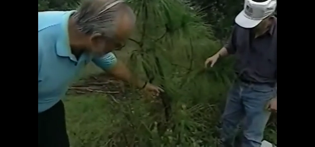 These 10 UFO Cases Are the Most Convincing Ever — #2 Left Experts Speechless